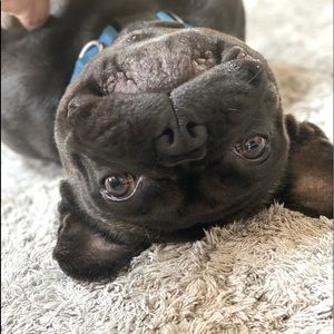 Meet your Posher, Katharina